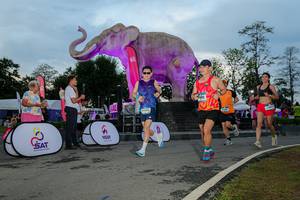 BIB: 
                            <button type="button" onclick="openModal(26529471)" class="btn btn-primary btn-sm float-right btn-popup" data-toggle="modal" data-target=".modal-high-quality">
                        <i class="fas fa-shopping-cart"></i> Add to Cart
                    </button>
                                            <button type="button" onclick="isThisMe(26529471, true)" class="btn btn-success btn-sm float-right btn-popup btn-isme hidden" data-toggle="tooltip" data-placement="bottom" title="นี่คือรูปของคุณใช่ไหม คลิกที่นี่เพื่อเอาเข้าอัลบั้ม">
                        <i class="fas fa-plus"></i> Add to album
                    </button>
                    <button type="button" onclick="isThisMe(26529471, false)" class="btn btn-warning btn-sm float-right btn-popup btn-isnotme hidden">
                        <i class="fas fa-ban"></i> Remove from album
                    </button>